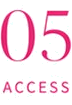 05 ACCESS
